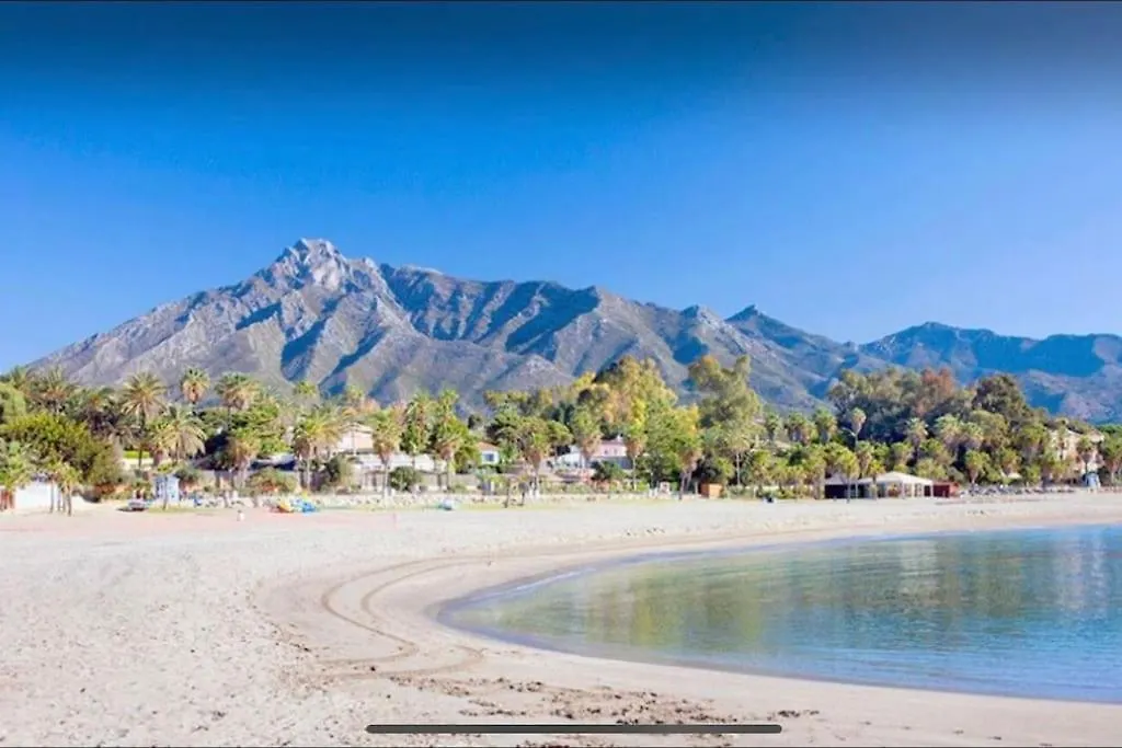 Suite Pbella Deluxe Old Town Marbella联系方式